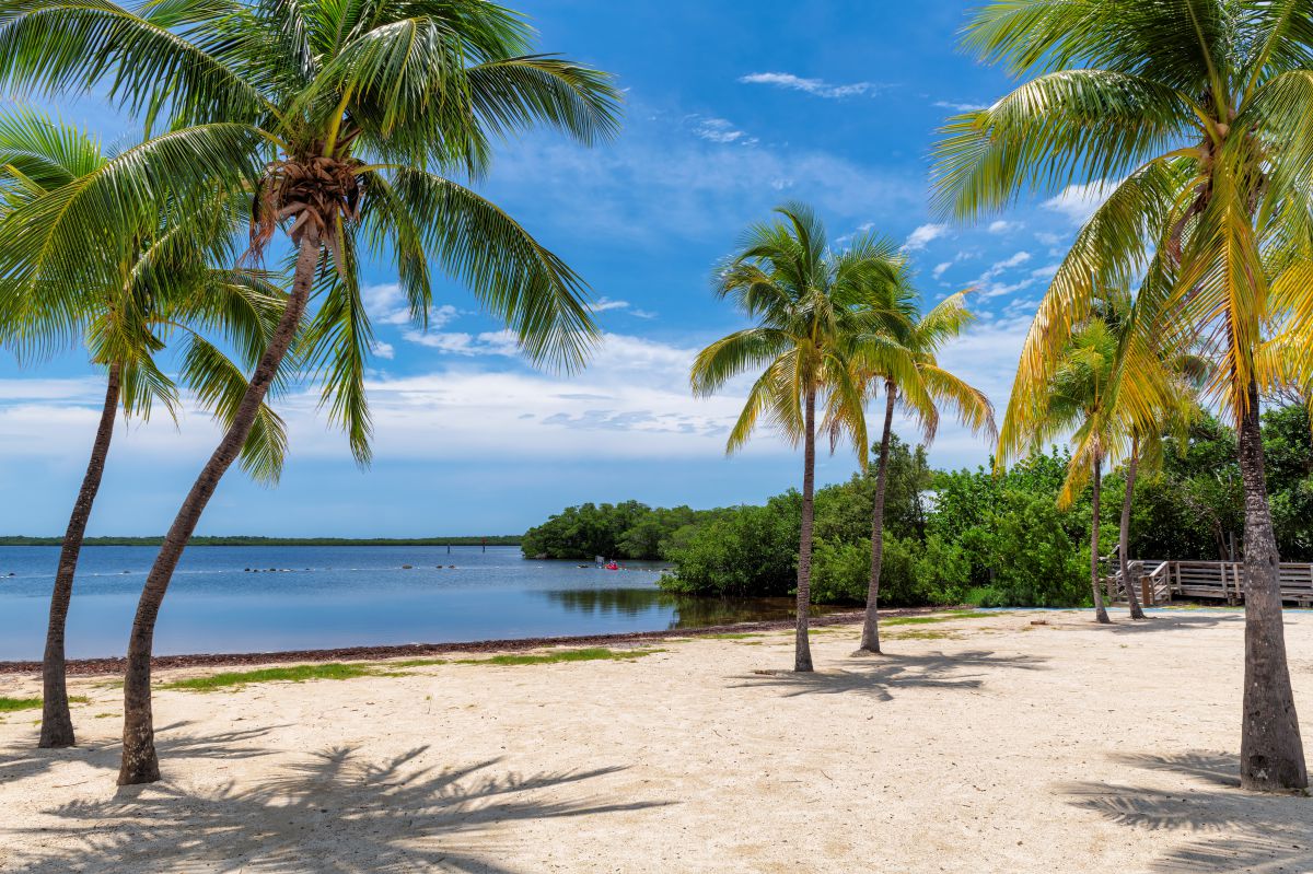 View of the beach in Key Largo